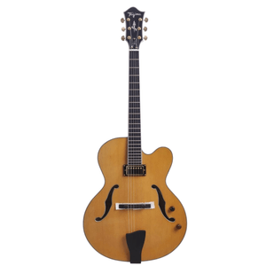 Guitarra Semi Acústica 1H Nelson Faria Natural Ambar NT - Tagima